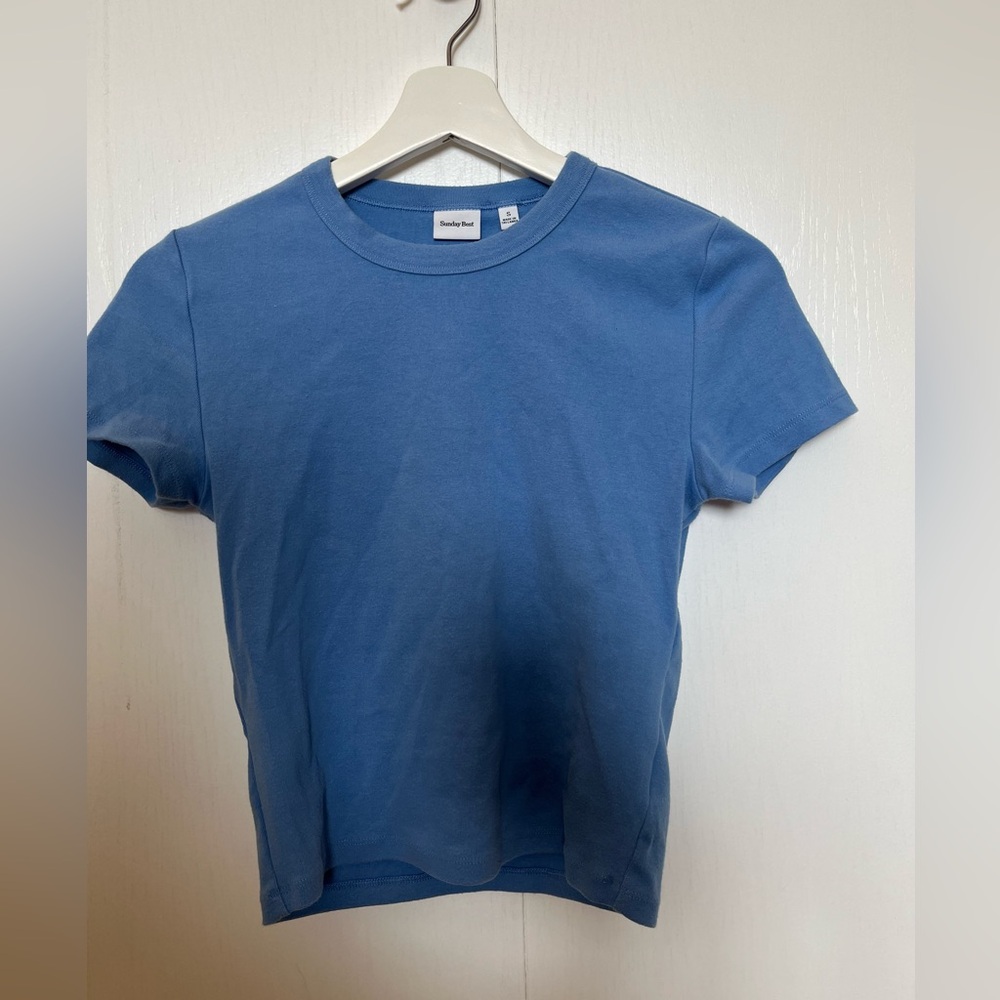 Aritzia Sunday Best Little Ribbed TShirt